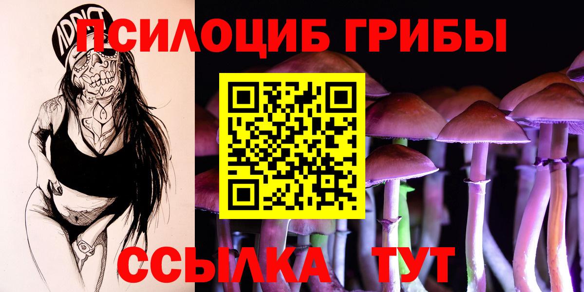 Псилоцибиновые грибы Cubensis Серов
