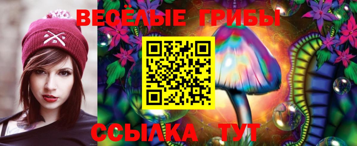 Галлюциногенные грибы GOLDEN TEACHER  Вход с VPN  Серов 